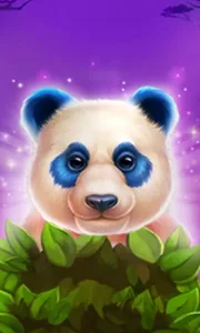 Luck of Panda: Bonus Combo